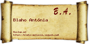 Blaho Antónia névjegykártya